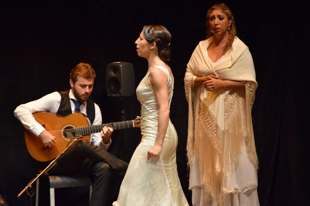 Esperanza Fernández Picasso 21-5-16