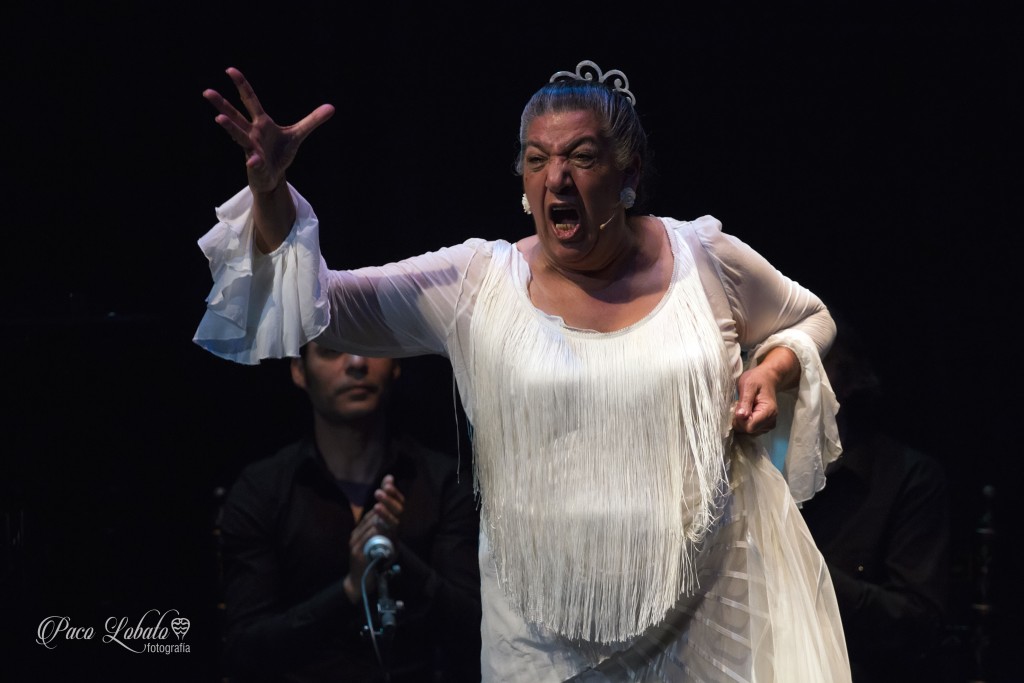 IMG_6220-Fotografía Paco Lobato