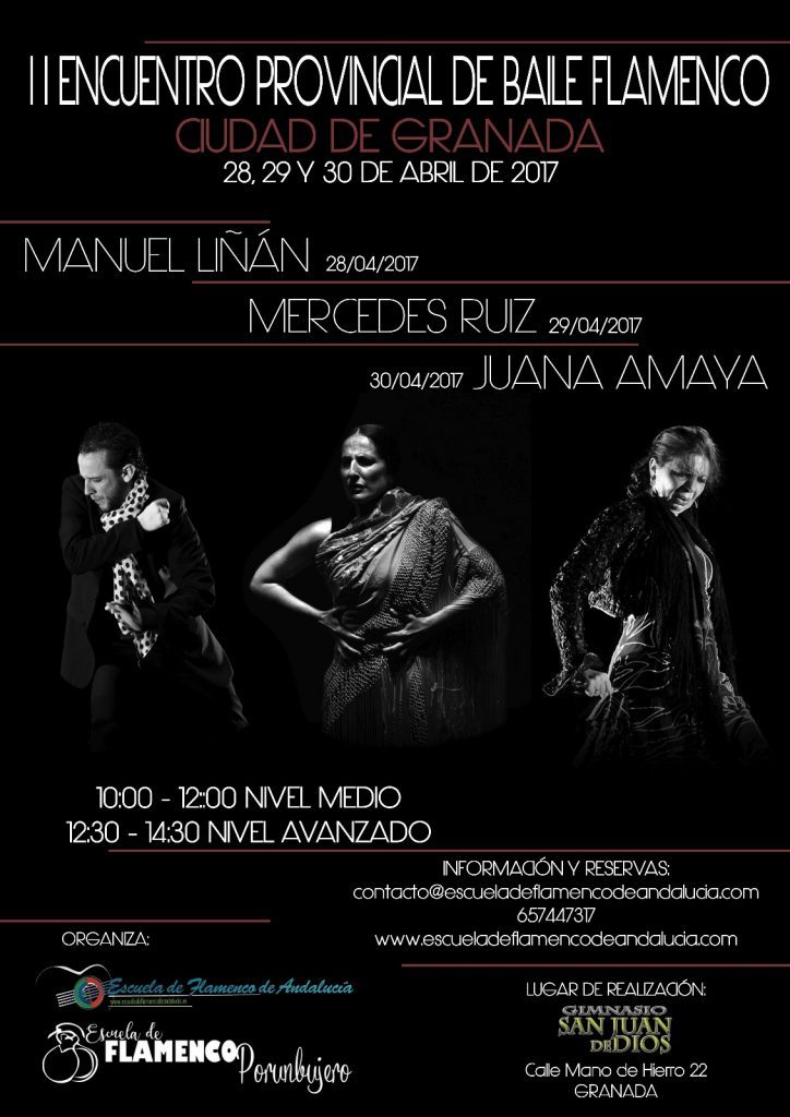 ii-encuentro-provincial-de-baile-flamenco-ciudad-de-granada-724x1024