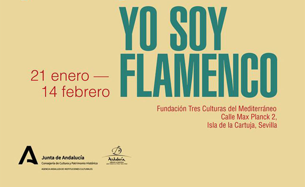 Yo soy flamenco