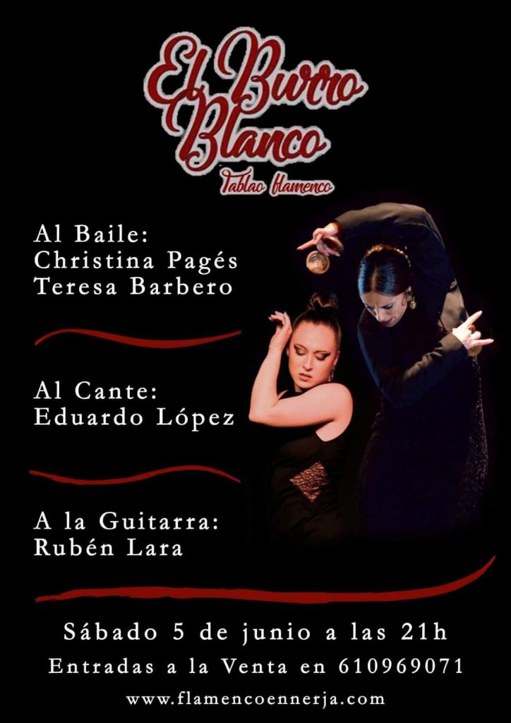 Espectáculos flamencos